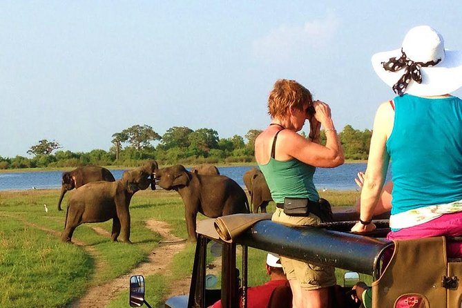 Sri Lanka Safari Experience